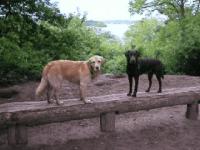 Maggy und Nino auf der Bank in Siemenswerder - 441 KB