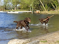 Mit Schwung durch die Havel